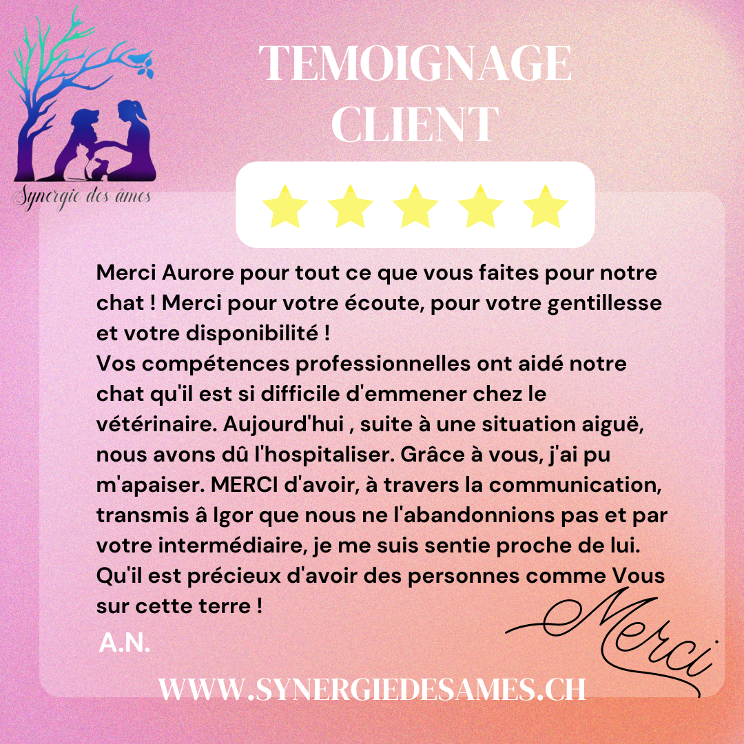 Retour client communication animale pour un animal aux urgences Communication animale pour un chat difficile a approché ayant été aux urgences, lien avec l'animal, rassurer l'animal