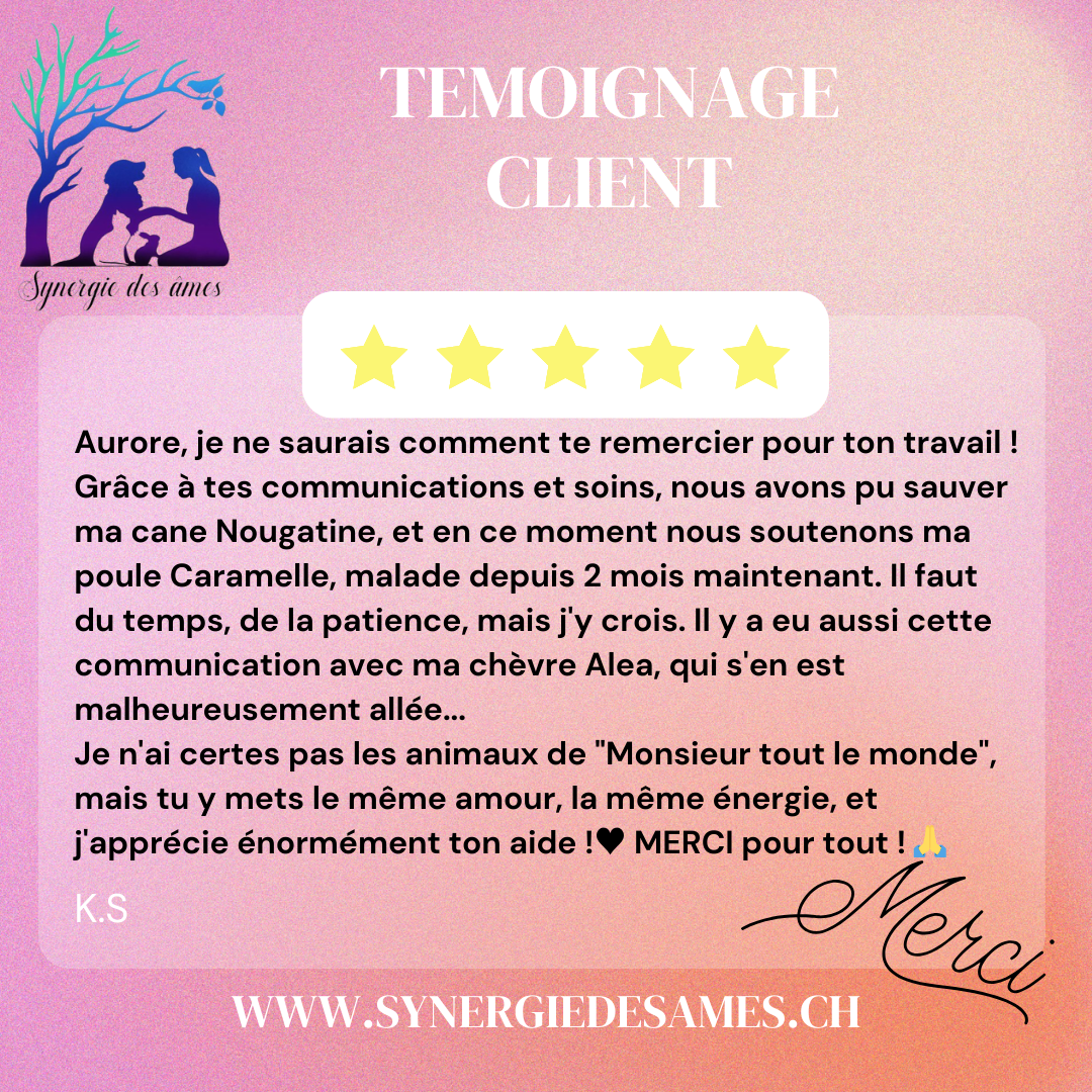 Retour client, communication animale pour des animaux de rente Communication animale, soins à distance et conseils naturels pour des animaux dit de rente (poules, canard, chèvres)