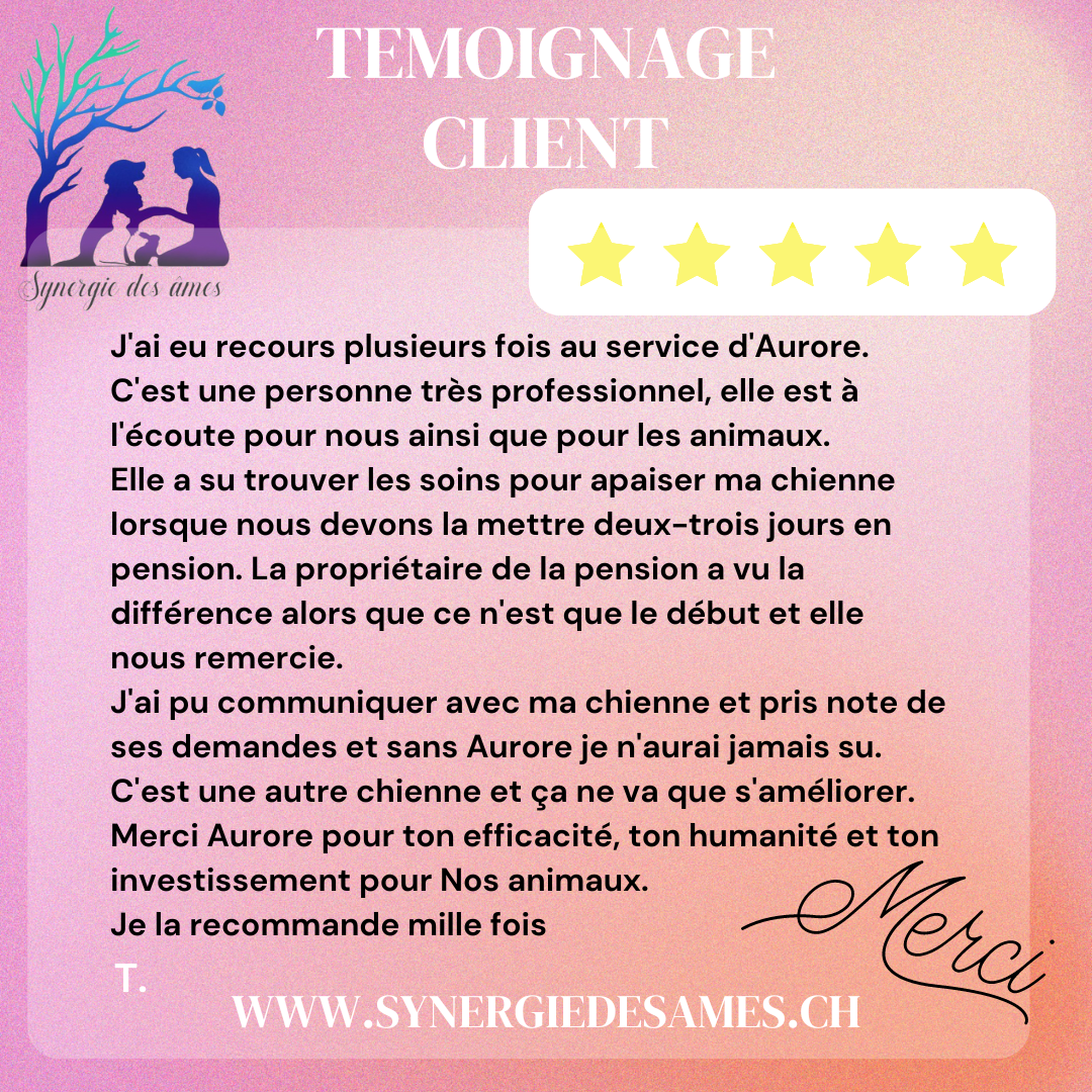 Retour client communication animale, thérapies naturelles et soins à distance pour un animal anxieu Communication animale, soins énergétique et thérapies naturelles pour un chien anxieux